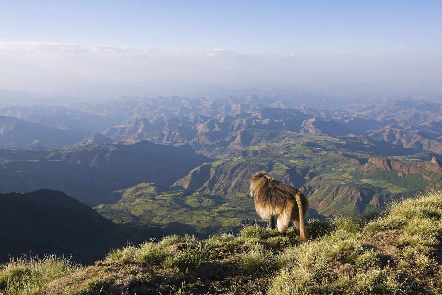 an image of simien mountains national park